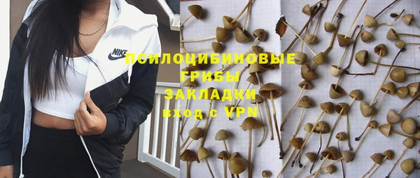сатива Верхнеуральск