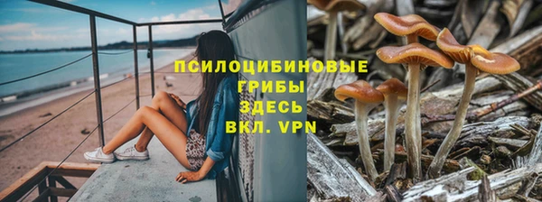 сатива Верхнеуральск